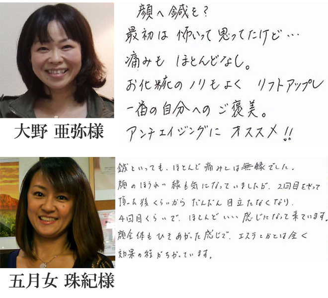 voice